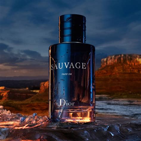 dior sauvage parfum 100ml price in india|cheapest sauvage aftershave 100ml.